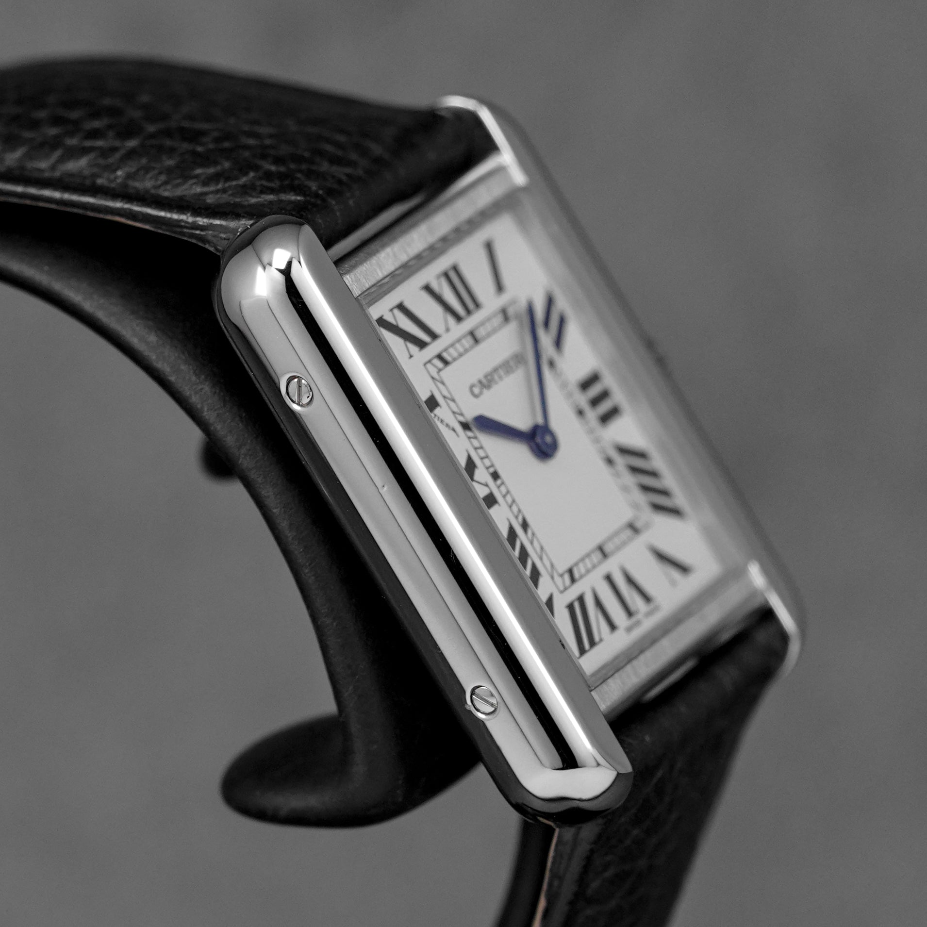 harga cartier tank solo s