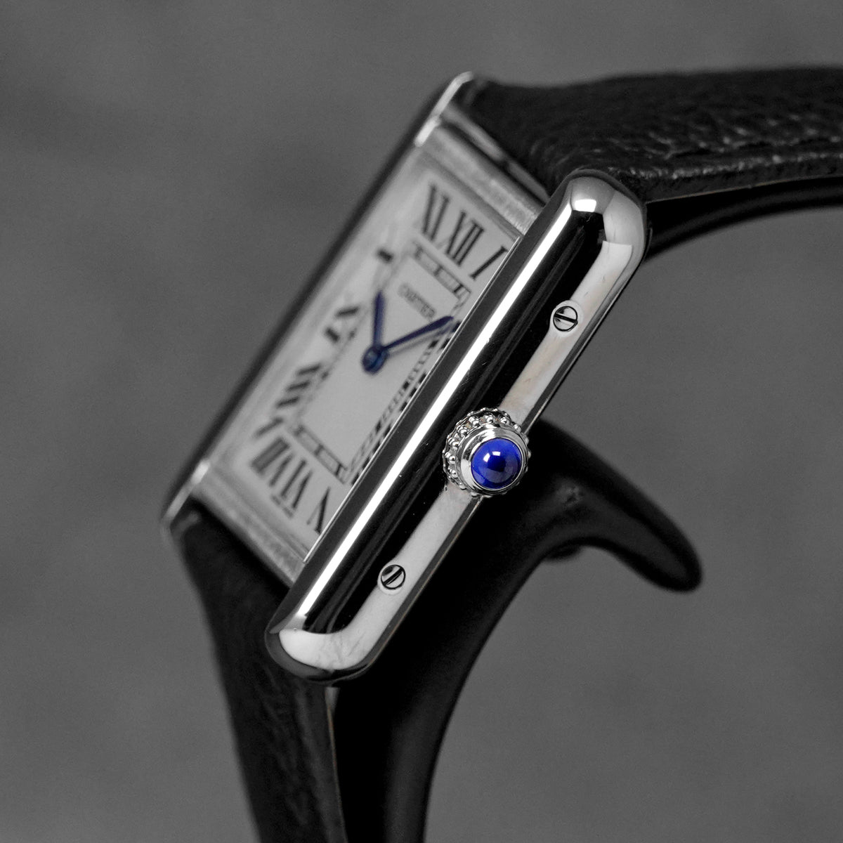 harga cartier tank solo silver