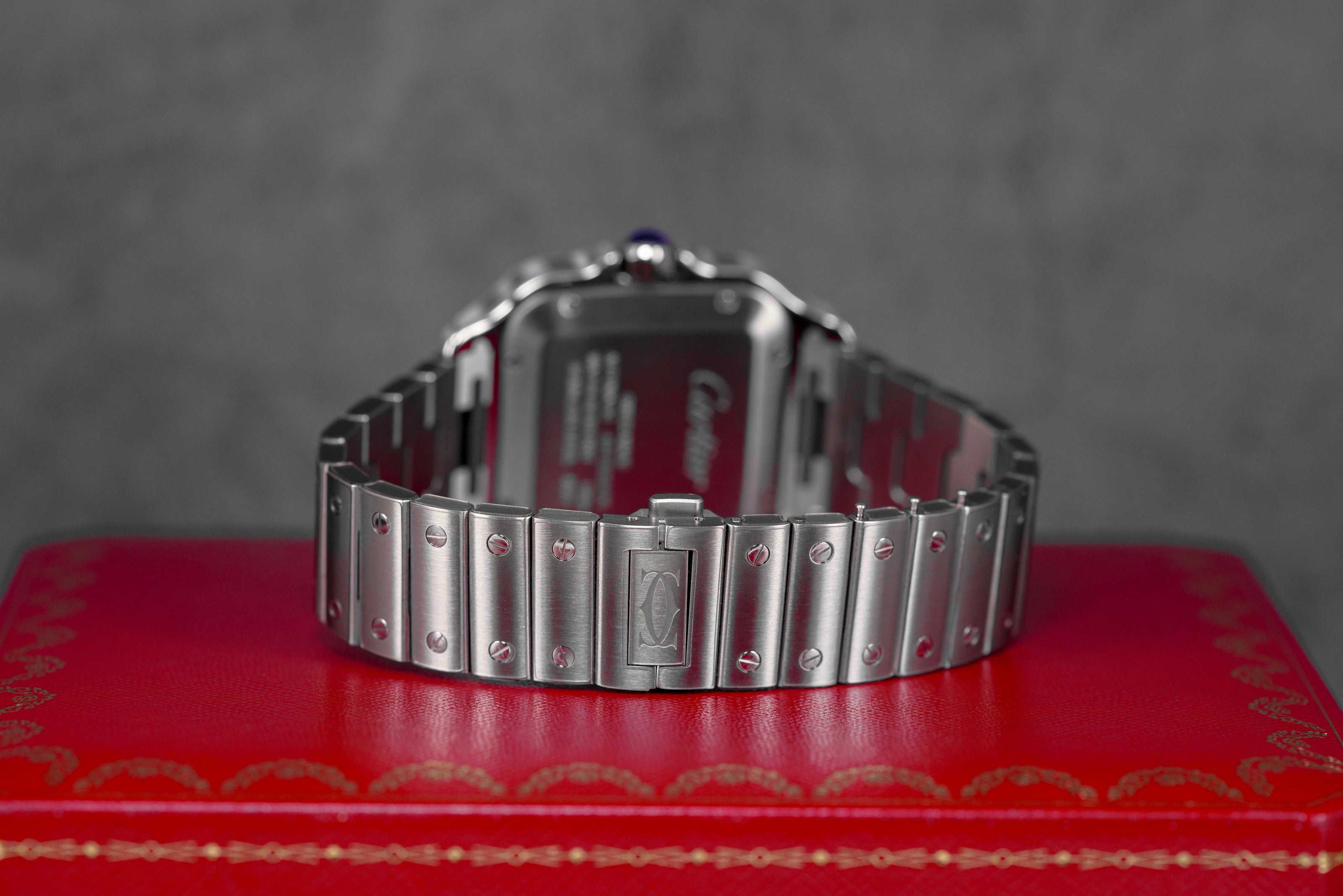 SANTOS DE CARTIER L SILVER DIAL (2024)