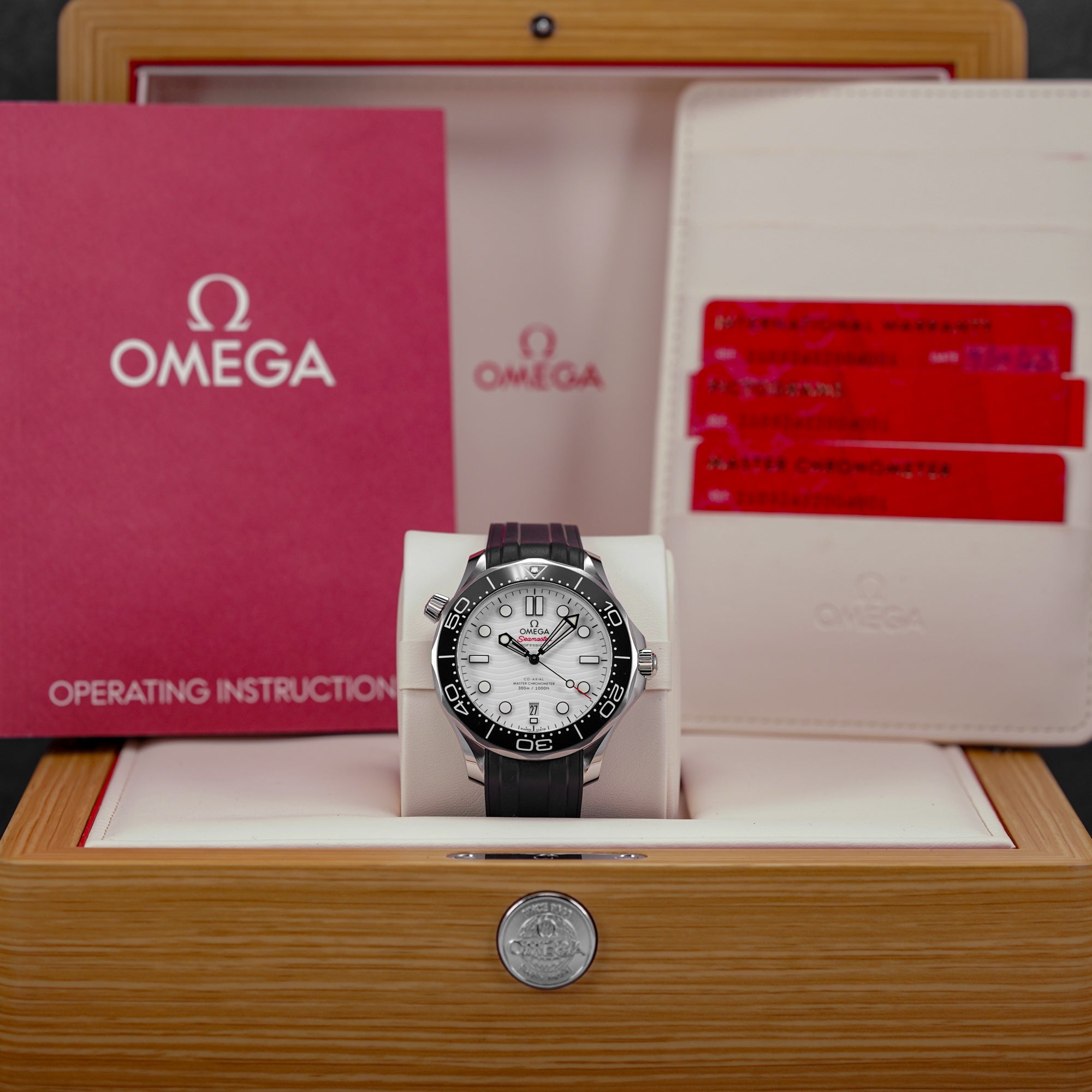 SEAMASTER DIVER 300 WHITE DIAL RUBBER STRAP (2023)