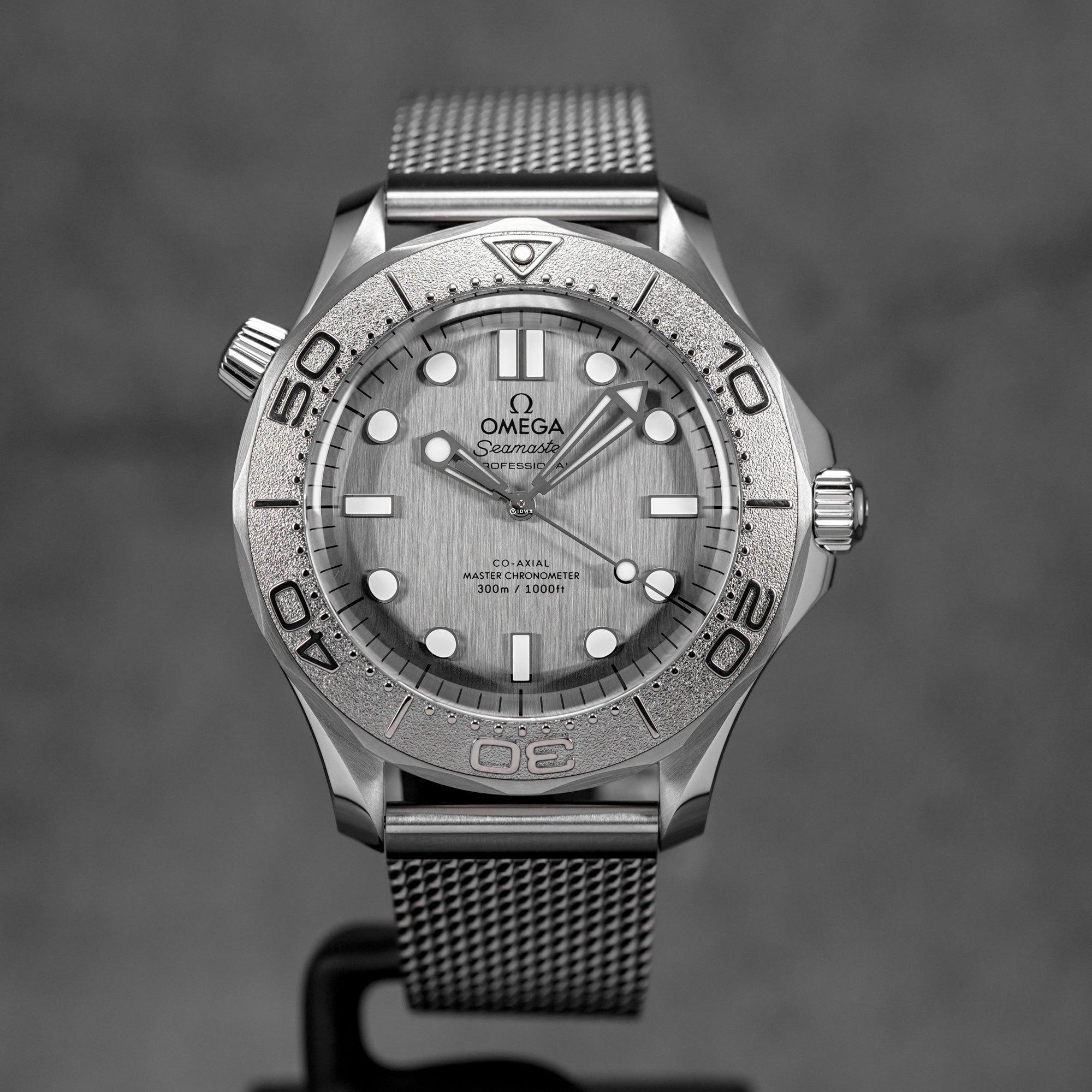 harga omega seamaster diver 300m grey