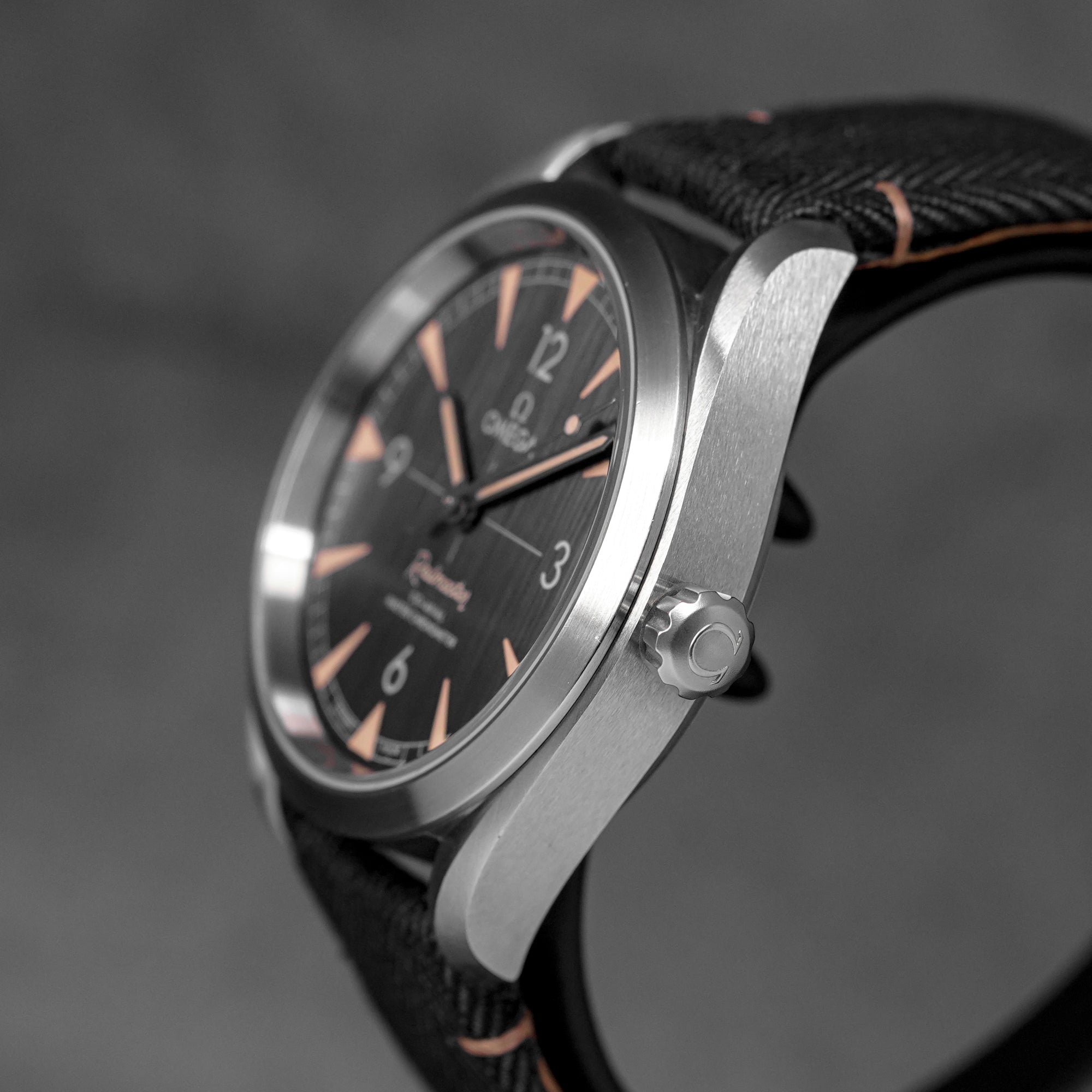 harga omega seamaster railmaster black