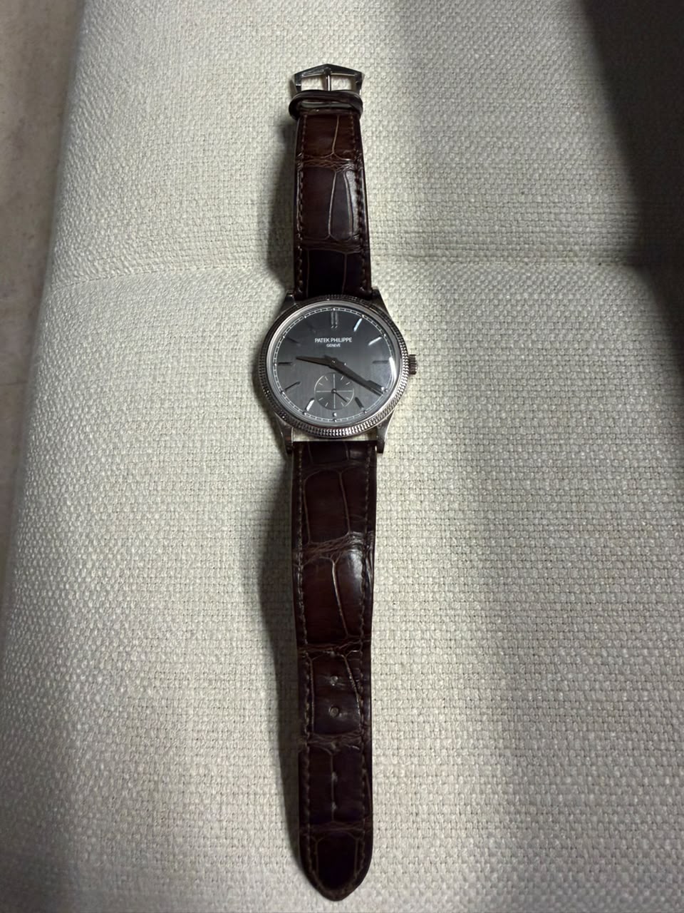 CALATRAVA 'CLOUS DE PARIS' 6119G WHITEGOLD GRAY DIAL (2024)