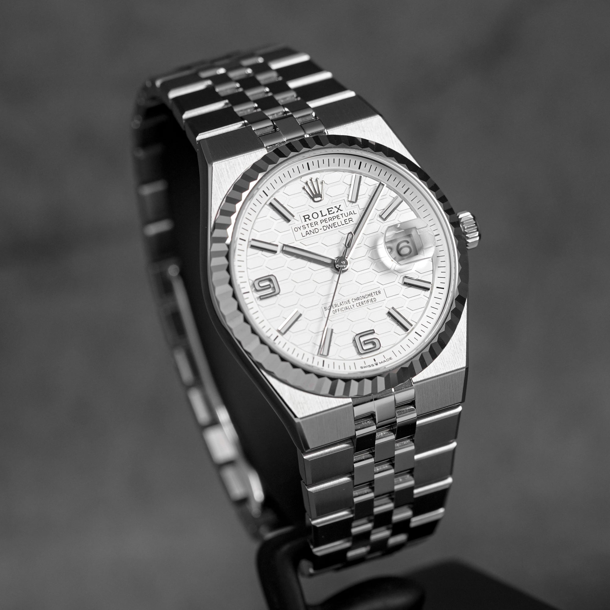 LAND-DWELLER 36MM WHITE DIAL (2026)
