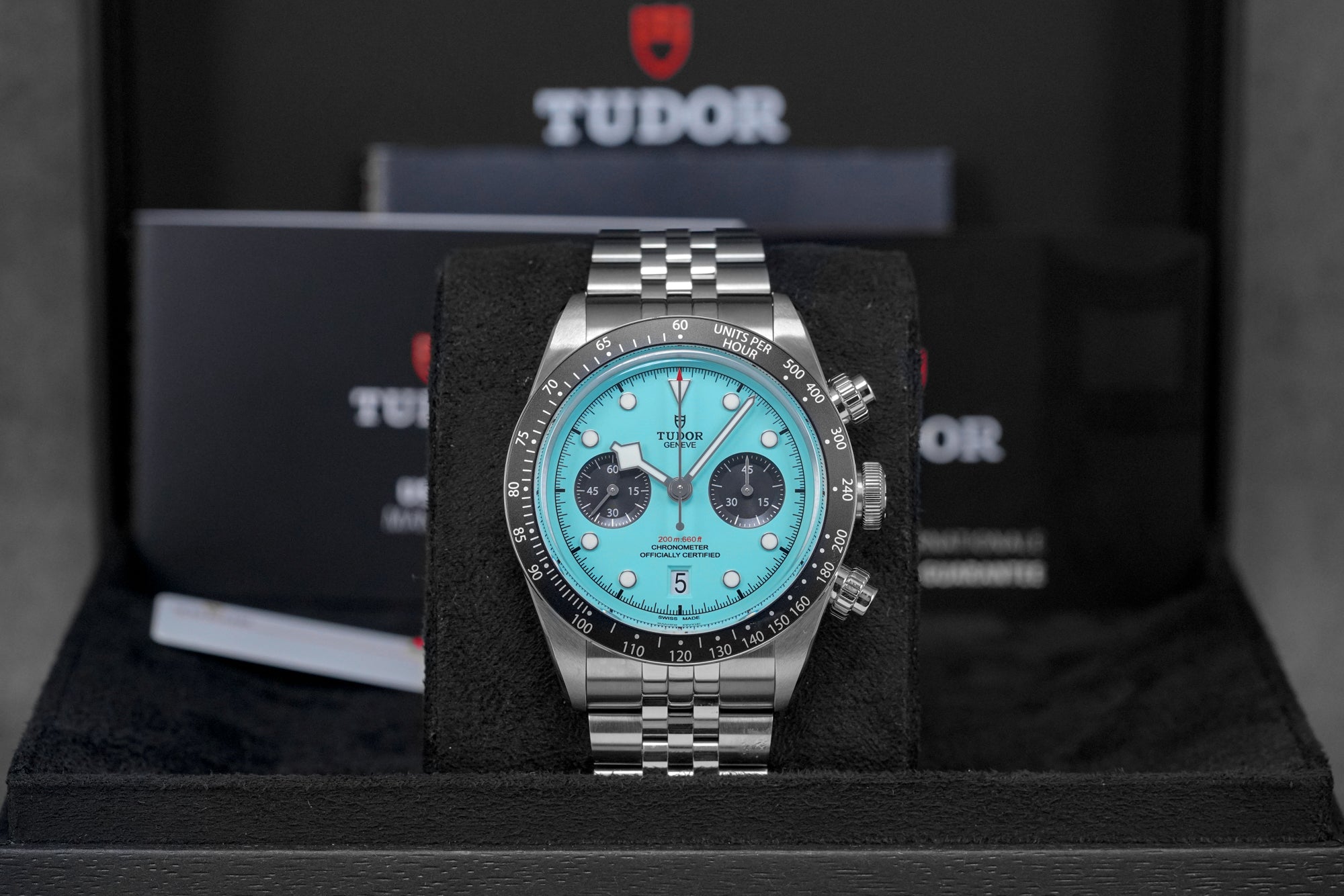 harga tudor flamingo