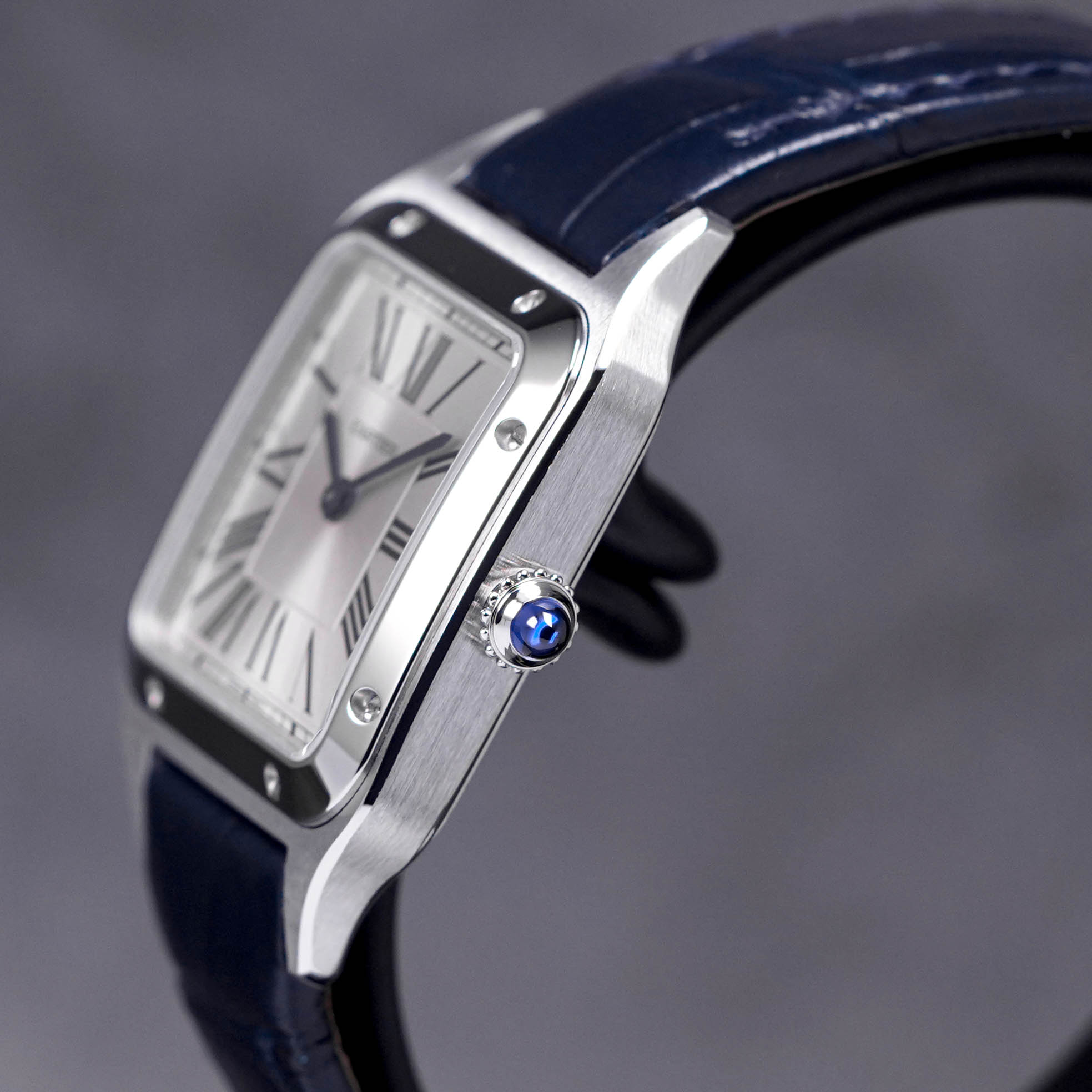 SANTOS DUMONT SMALL QUARTZ SILVER DIAL (2023)