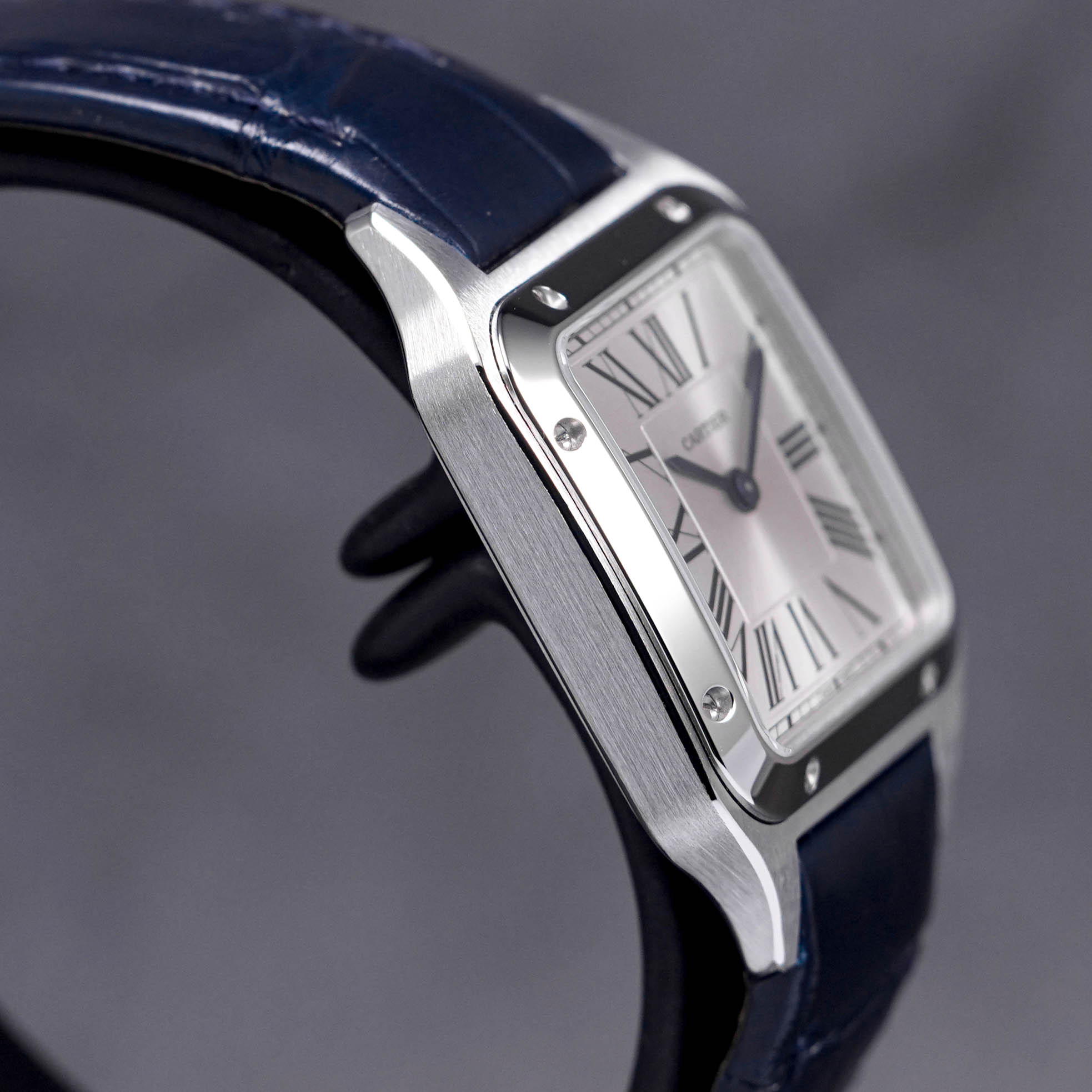 SANTOS DUMONT SMALL QUARTZ SILVER DIAL (2023)