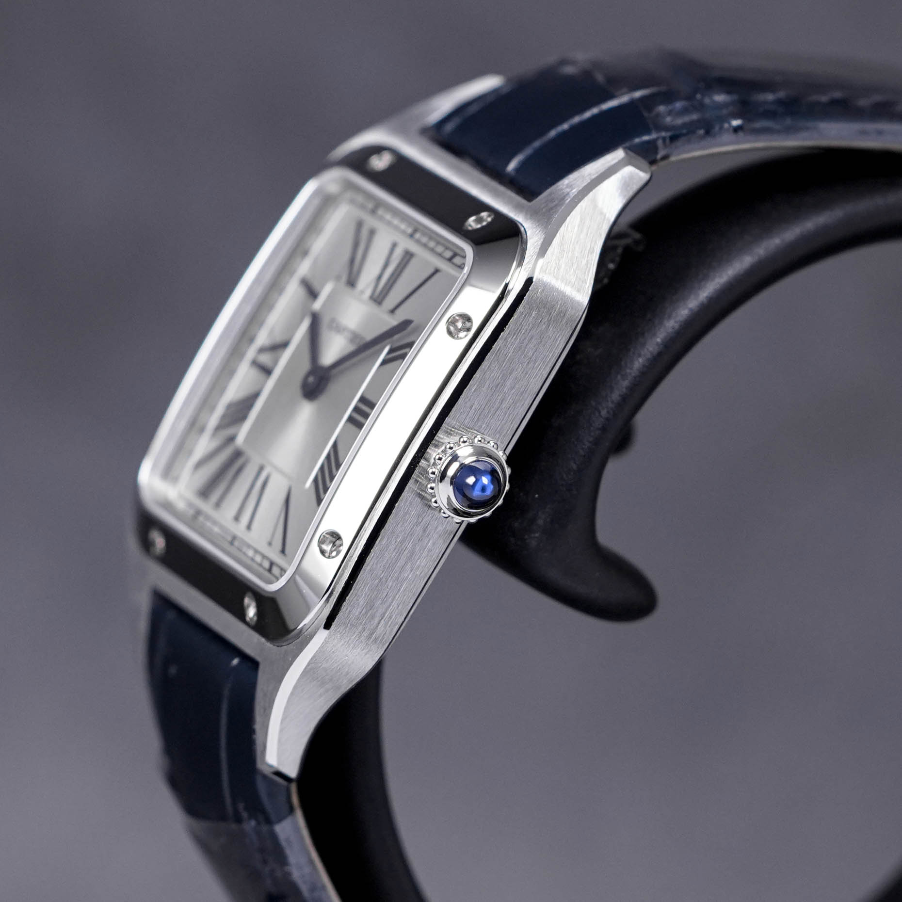 SANTOS DUMONT SMALL QUARTZ SILVER DIAL (2023)