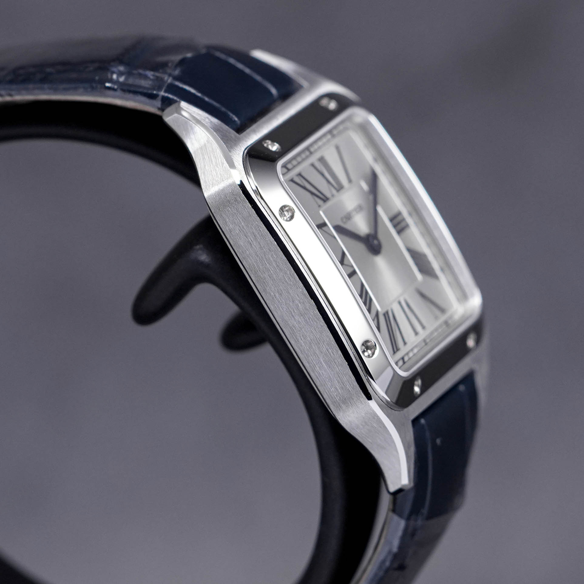 SANTOS DUMONT SMALL QUARTZ SILVER DIAL (2023)